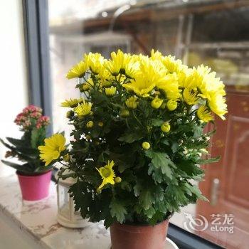 重庆辛玥山舍客栈酒店提供图片