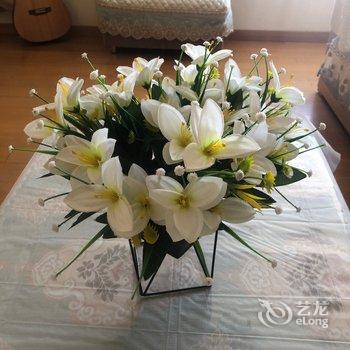 青岛陈怡杉公寓酒店提供图片