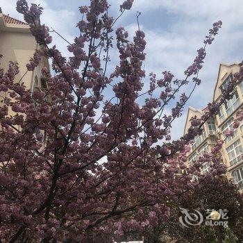 青岛德式风情之家公寓酒店提供图片