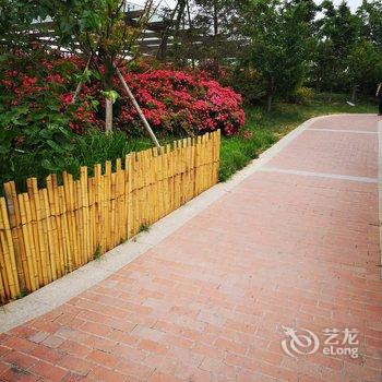 青岛菩提叶儿公寓酒店提供图片