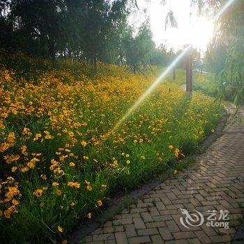 青岛菩提叶儿公寓酒店提供图片