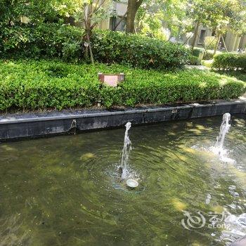 青岛圭小贤公寓酒店提供图片