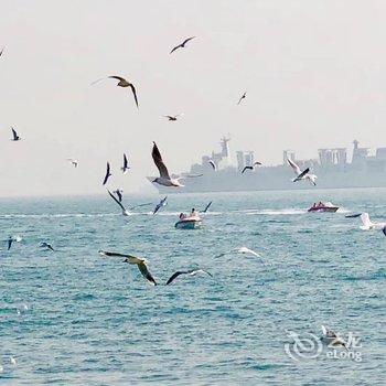 青岛海豚湾公寓酒店提供图片