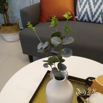 陶陶的家公寓(西安萧都广场店)酒店提供图片