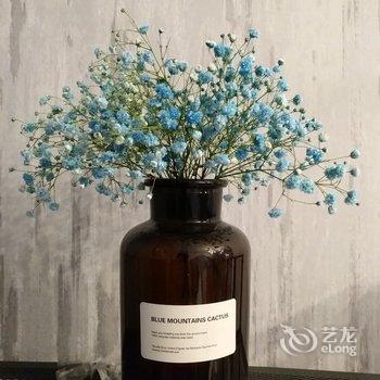 陶陶的家公寓(西安萧都广场店)酒店提供图片