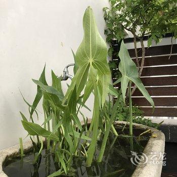 青岛RickChen公寓酒店提供图片
