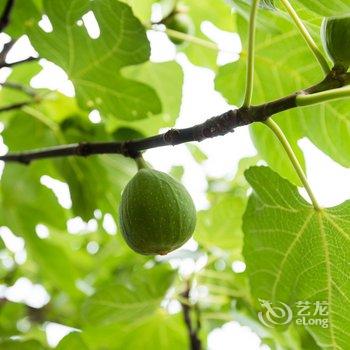 成都荀常月家公寓(3号店)酒店提供图片