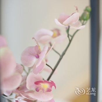 西安李菲公寓(南李村分店)酒店提供图片