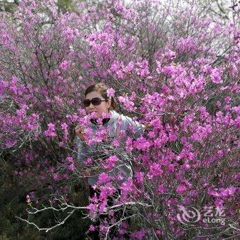 黑河闪亮公寓酒店提供图片