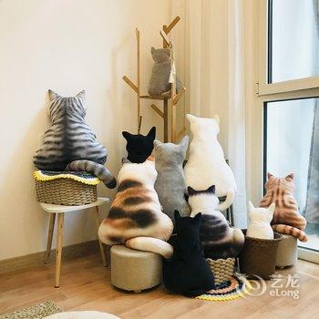 青岛卷雾公寓酒店提供图片