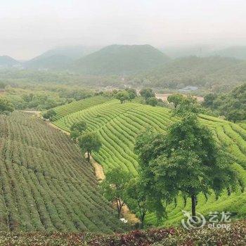 杭州悦来山居度假别墅酒店提供图片