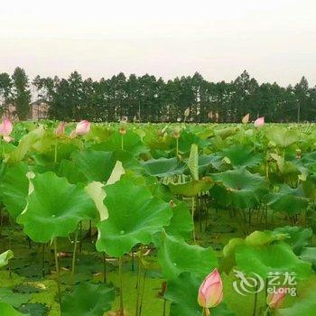 杭州悦来山居度假别墅酒店提供图片