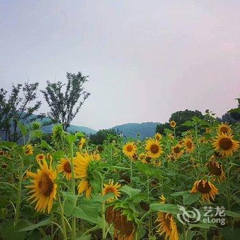 杭州悦来山居度假别墅酒店提供图片