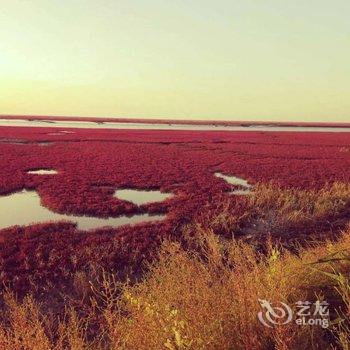 盘锦欣怡农家乐酒店提供图片