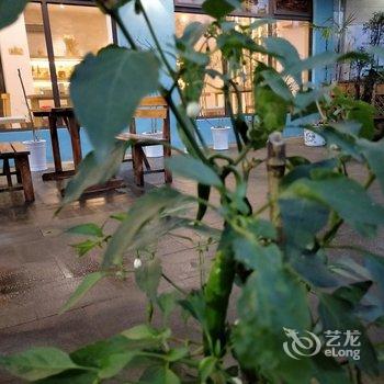 重庆夏木悠悠客栈(9号店)酒店提供图片