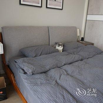 温州猫咪小屋酒店提供图片