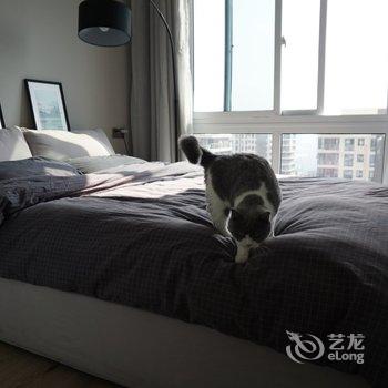 温州猫咪小屋酒店提供图片