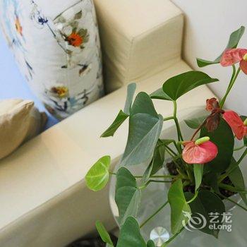 漫步古城公寓(西安1号店)酒店提供图片