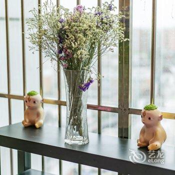 成都肖正学公寓酒店提供图片