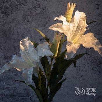 重庆三老板公寓(5号店)酒店提供图片