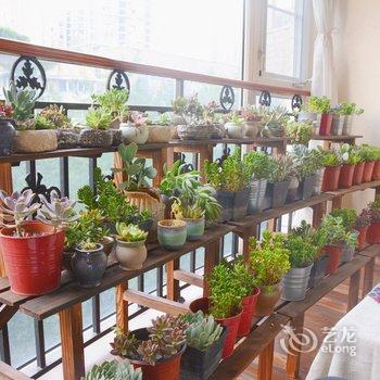 �ɶ���Сƽ��Ԣ(2�ŵ�)�Ƶ��ṩͼƬ