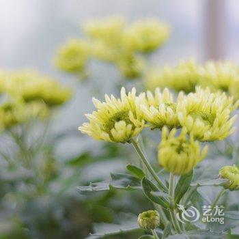 �ɶ���Сƽ��Ԣ(2�ŵ�)�Ƶ��ṩͼƬ