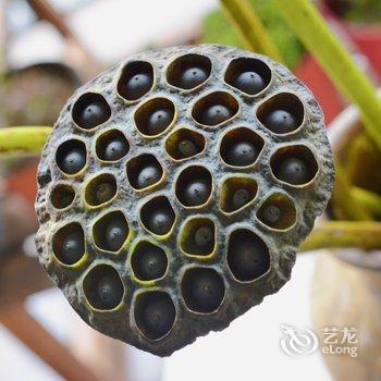 �ɶ���Сƽ��Ԣ(2�ŵ�)�Ƶ��ṩͼƬ