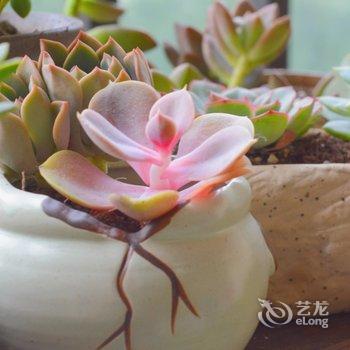 �ɶ���Сƽ��Ԣ(2�ŵ�)�Ƶ��ṩͼƬ