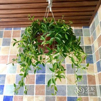 西安小居公寓酒店提供图片