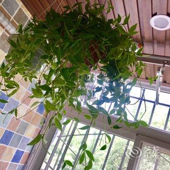 西安小居公寓酒店提供图片