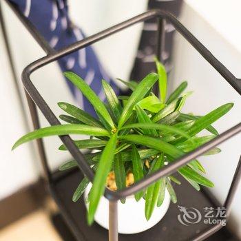 ��������̫�Ż�깫Ԣ�Ƶ��ṩͼƬ