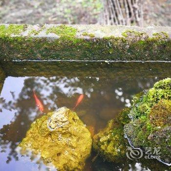 成都园林民宿之家酒店提供图片