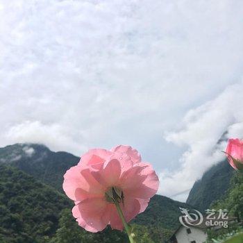 青川观林客栈酒店提供图片