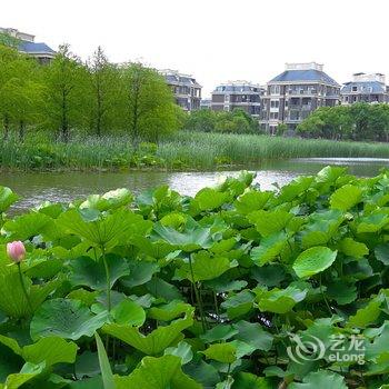 上海浦东国际机场商圈民宿(东亭路分店)酒店提供图片