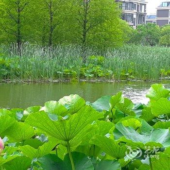 上海浦东国际机场商圈民宿(东亭路分店)酒店提供图片