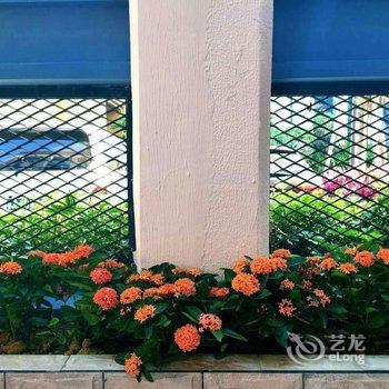 惠州幸福盛开度假别墅酒店提供图片