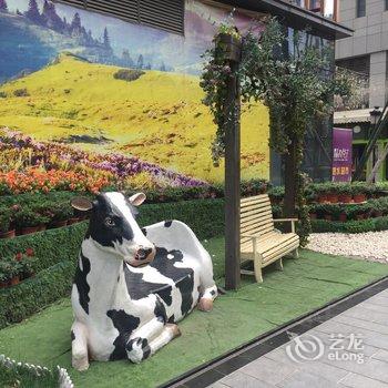 成都旺家·逸居公寓(三洞古桥公园分店)酒店提供图片