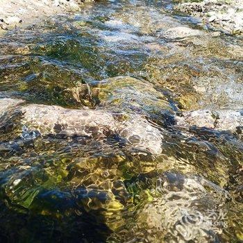 青海湖藏族秘岸客栈酒店提供图片