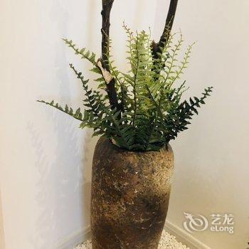 青岛Mehouse民宿(11号店)酒店提供图片