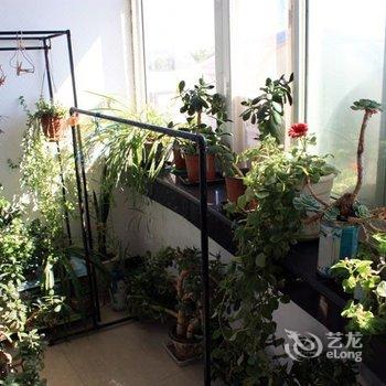 老张家休闲田园农家院(北京6号店)酒店提供图片