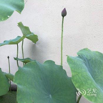 德清鸟哨客栈酒店提供图片