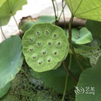 德清鸟哨客栈酒店提供图片