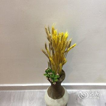 青岛春风十里的老杨公寓酒店提供图片