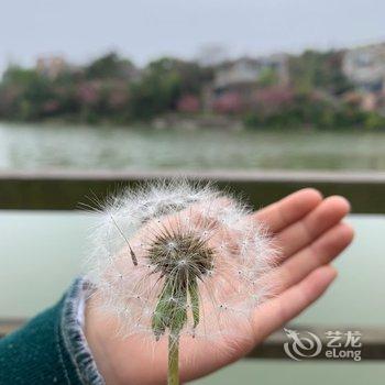 南京李墨度假别墅酒店提供图片