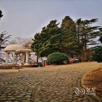 青岛游弋的小海豚特色民宿(4号店)酒店提供图片