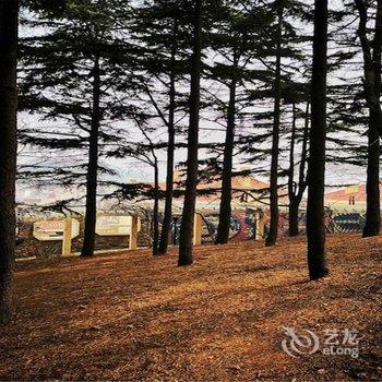 青岛游弋的小海豚特色民宿(4号店)酒店提供图片