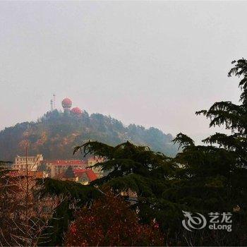 青岛游弋的小海豚特色民宿(4号店)酒店提供图片