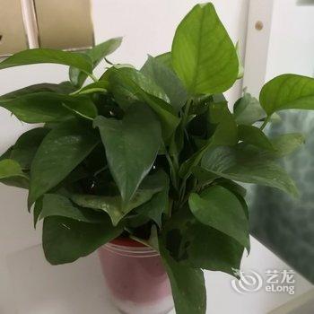 西安366天公寓酒店提供图片