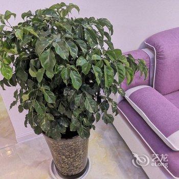 西安366天公寓酒店提供图片