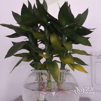西安366天公寓酒店提供图片